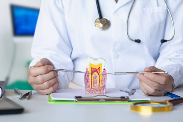 Best Same-Day Emergency Dentist in Valley Forge, TN